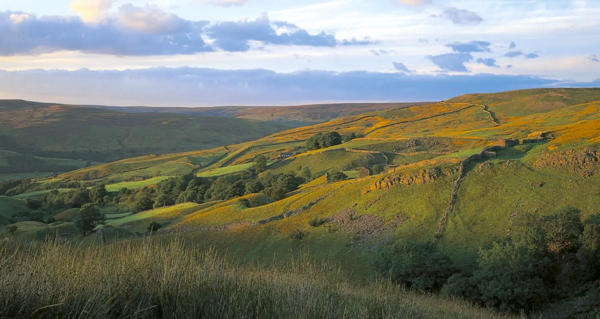 Golden autumn bracken and woodland colour across the North York Moors
